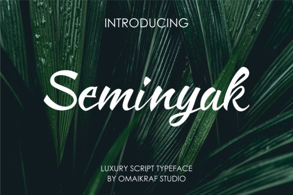 Seminyak: A Modern Handwritten Typeface for Brand Identity