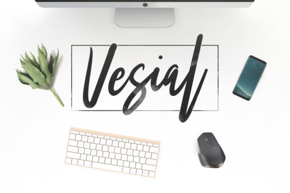 Vesial: The Casual Handwritten Font for Authentic Editorial Design